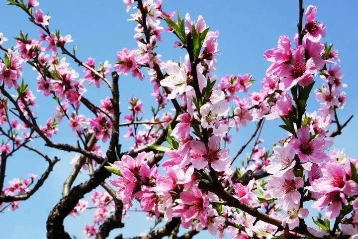 2020年三八婦女節，911香蕉视频网站不一樣！